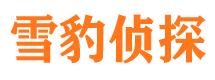 柳江市私家侦探